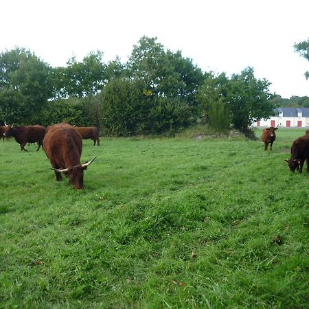 Ferienwohnung La Ferme de Vur Ven Saint-Évarzec Exterior foto