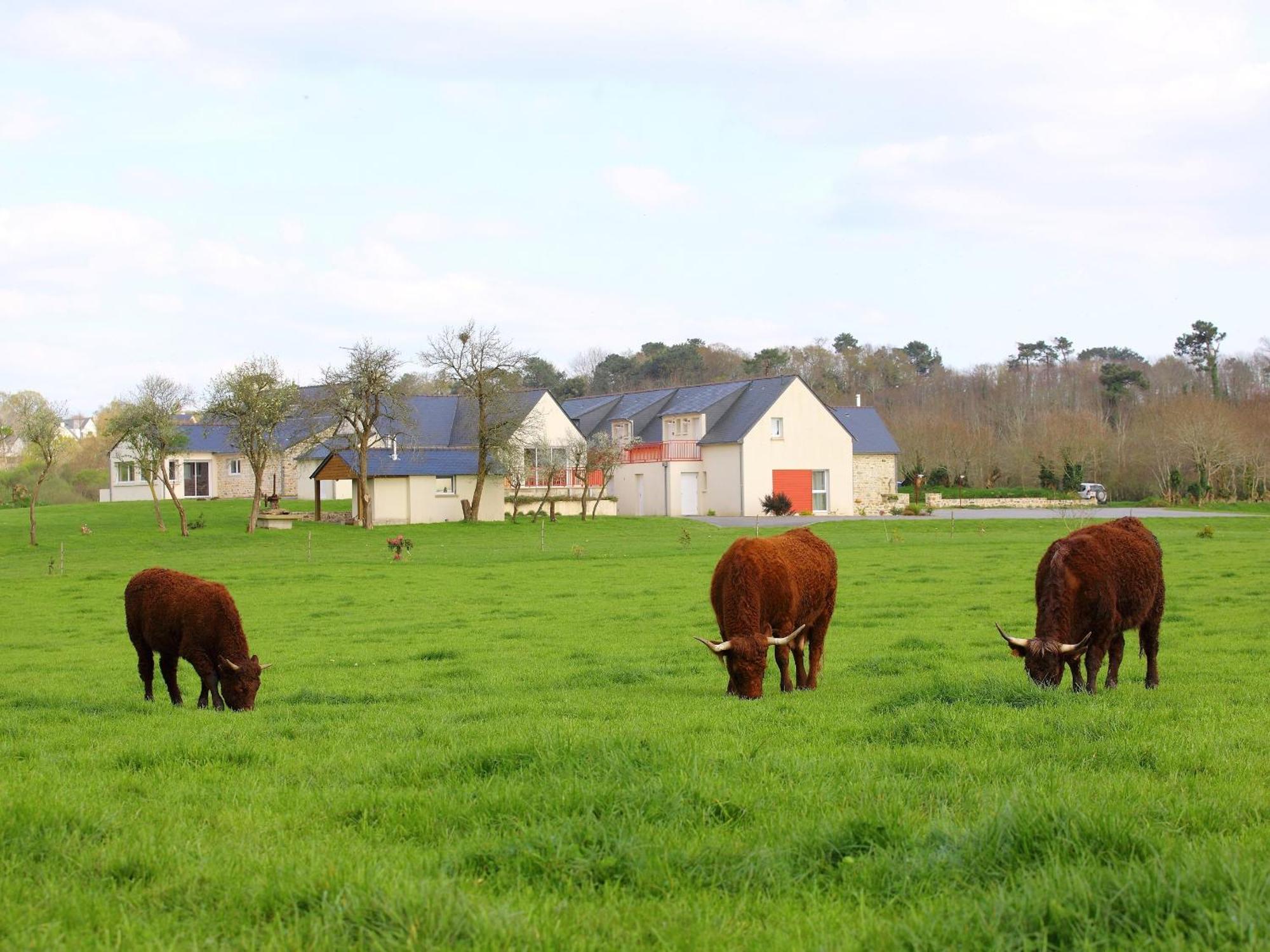 Ferienwohnung La Ferme de Vur Ven Saint-Évarzec Exterior foto